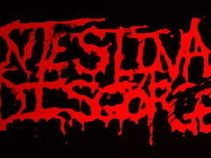 Intestinal Disgorge