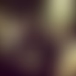 1386279387 602031749822501 413519434 n