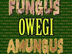 The Owegi Band