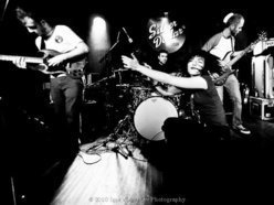 Image for Whale Tooth