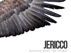 Image for JERICCO