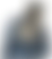 Photo 1507224319601