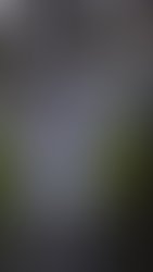 20180628 204019