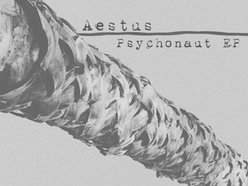 Image for Aestus