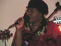 the 2nd street blues band