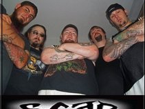 S.C.A.R.