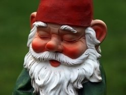 ReverbNation profile picture for @gnome