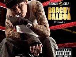Roach Gigz