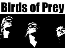 Birds of Prey