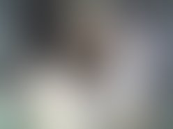 Img458 1255374008 1255374397