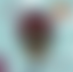 1460407572 front cover