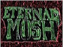 Image for Eternal Mosh