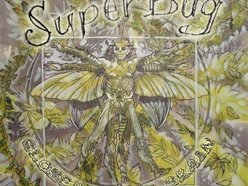 Image for SUPERBUG