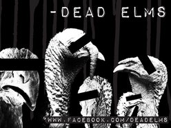 Image for Dead Elms