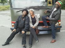 Trevor Roots & The Collaborators