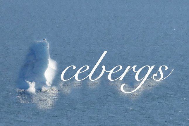ReverbNation profile picture for @icebergs