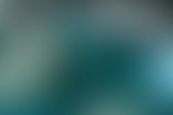 1437774614 artist 1221 1437774604