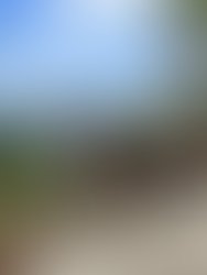 Af8085c5 dbb1 440d abb7 7b160de4cde9