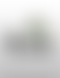 1308191285 untitled 2