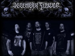 Image for December Flower