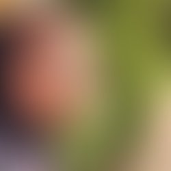 1372657632 artist 122679 1372657619