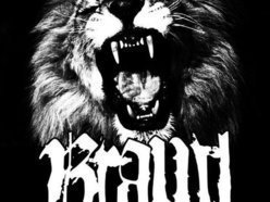 Image for Brawl
