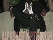 P.A. Sleep Monster