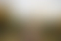 1382405878 10202118879117514 2047558321 n