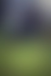 20032010  mg 4680 2colorsm 1295525331