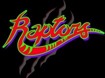 Raptors