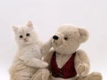 Kitty & Bear