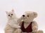 Kitty & Bear