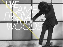 WE CAME FROM THE WOODS