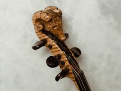 Image for songs of water