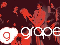 ReverbNation profile picture for @grape