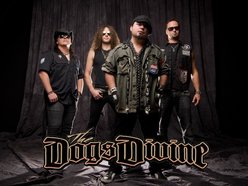 Image for The Dogs Divine