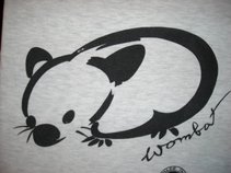 JUNG WOMBATS!