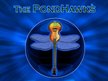 The PondHawks