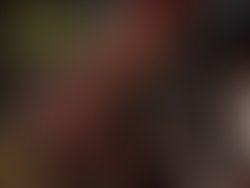 1355791614 443044515756343 804286773 n