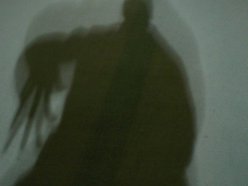 Image for Organic Flow
