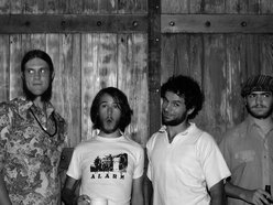 Image for Green Mountain Grass