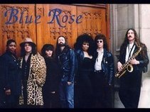 BLUE ROSE Detroit Boogie