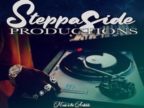 STEPPASIDE PRO