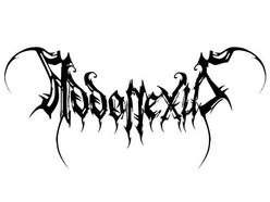 Image for Addonexus