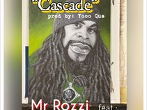 Mr Rozzi