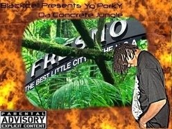 Image for YG Porky
