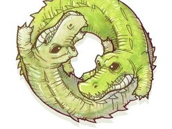 Image for Alligator vs Crocodile