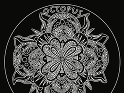 Image for Octopus