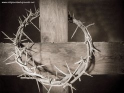 Image for The Just