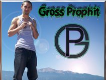 Gross Prophit
